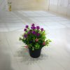 Mini-Simulation Bonsai Blume kleine Topfpflanzen