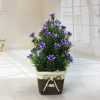 Mini simulación bonsai flor pequeñas plantas en macetas