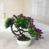 Mini simulation bonsai flower small potted plants