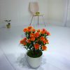 Mini simulazione bonsai fiore piccole piante in vaso