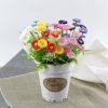 Nouveau produit tendance Marguerite de soie artificielle Petites fleurs de chrysanthème