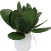 Trendy style artificial orchids flowers decor butterfly orchid flower Jasmine Leaves
