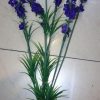 Manufacturers recommend high quality 7-head lavender