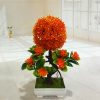 Mini simulation bonsai flower small potted plants