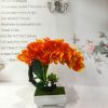 Mini simulation bonsai flower small potted plants