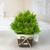 Mini simulation bonsai flower small potted plants