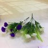 4 water grass dandelion simulation flower