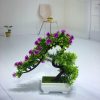 Мини-моделирование бонсай цветок маленькие горшечные растения