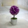 Mini simulation de fleur de bonsaï petites plantes en pot