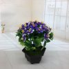 Mini simulation bonsai flower small potted plants