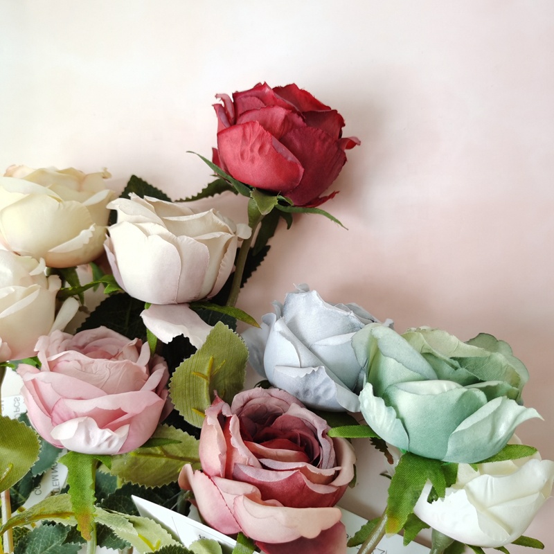 H0065c5de17d345289b66a058100e6dedm