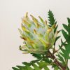 2021 hot sale 17″ plastic giant protea cynaroides king protea wedding decoration