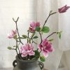Amazon hot selling artificial plastic silk 3 heads small magnolias valentine’s day decorative simulation  magnolias flowers