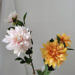 H08efb2315e784e76b8974aeafb5abba2m