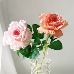 H09b148a923de44f6bf727459ec8c7d3fz-1