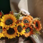 H113210e3ab0942a9b19183d3ebac22cdB