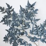 H14a7aa6343be41d6994351ff946faea9b