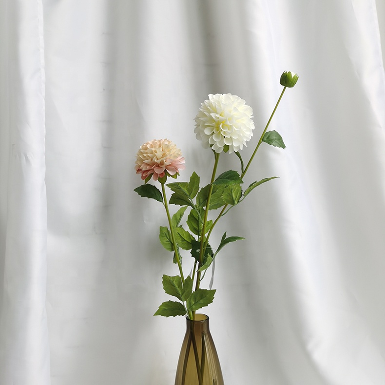 H16c7f6d0c8a24007b07fa3522ddb1cffw