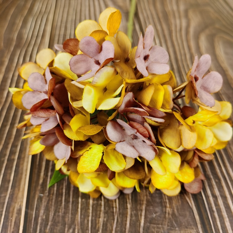 H1bc479da9dcb4b88b99b09a5505c8182l