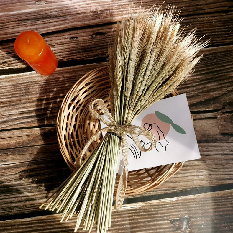 H1e53d62a03fc455eaa7dacacab6e290aB