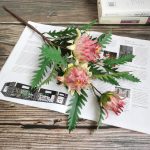 H2042fc65bf6d41bda20fa6e5a720f474W-4