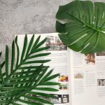 H2169218a02264212953e9f1f3906a1ebf-1