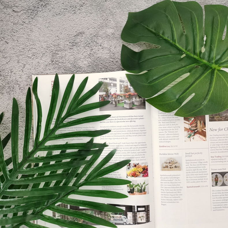 H2169218a02264212953e9f1f3906a1ebf-1