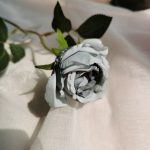 H227b322fb58d493abf392ac8bb898c9bF