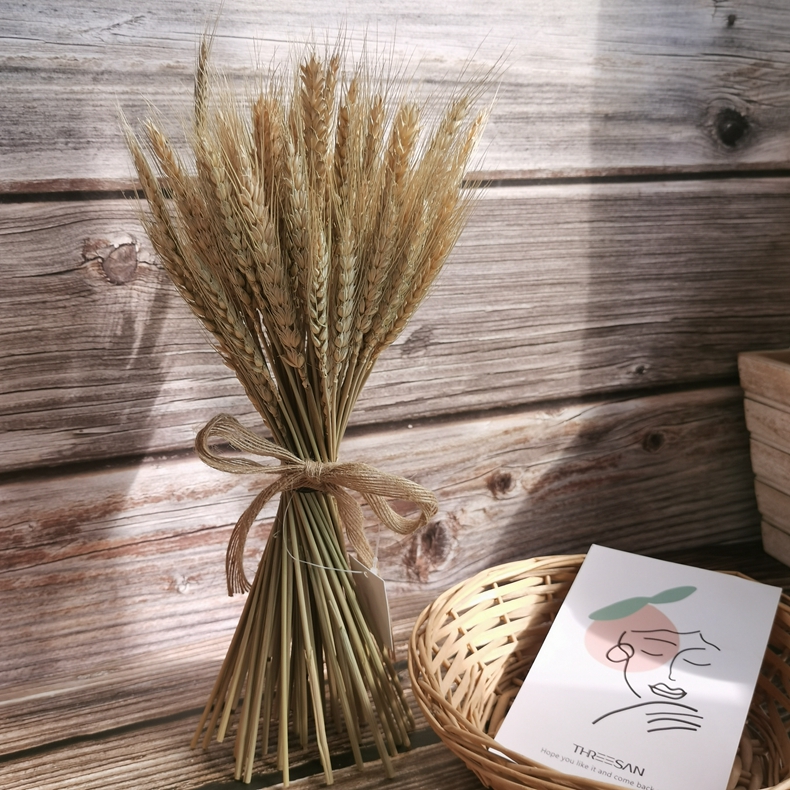 Artificial flower 70 Pcs Dry Wheat Grass Bouquet Natural Wheat Dried Grasses Bundle Dried Wheat Length 36cm