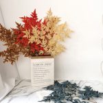 H2f692eafb28846558503761b053c5761x