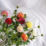 H3937337a59954230a7a6a5e1ee597d56l