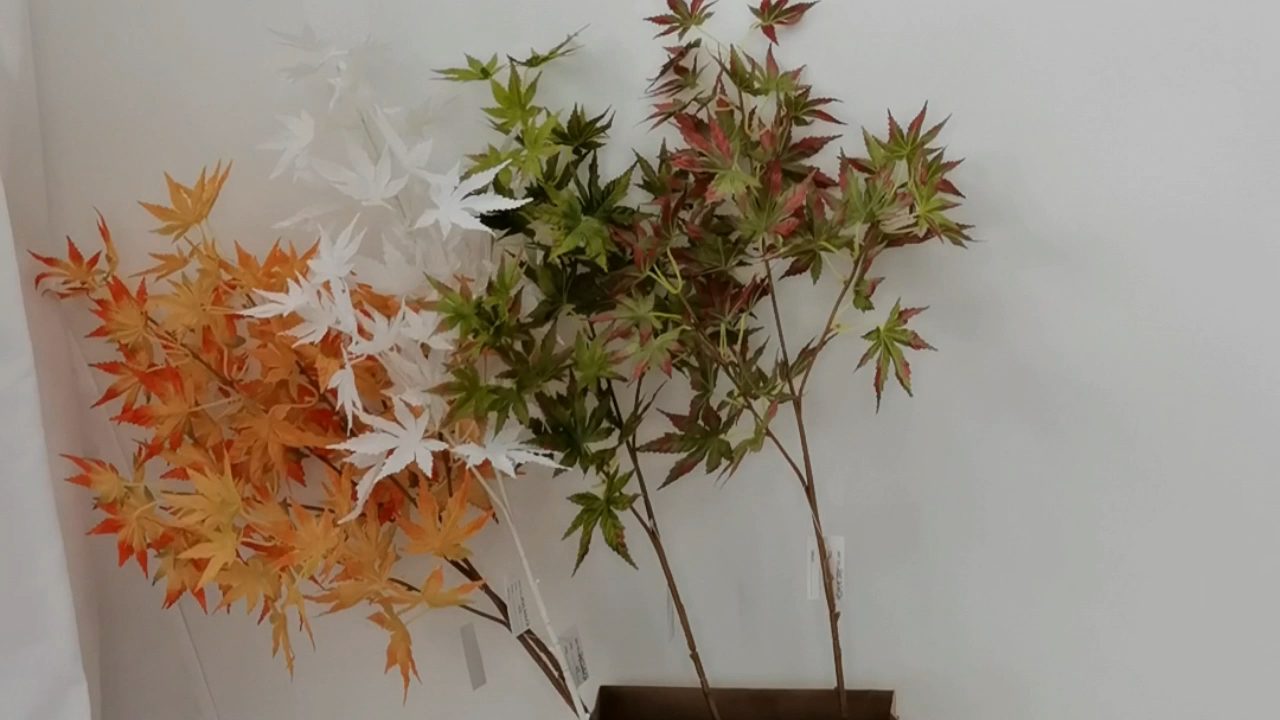 H39b2169ecaf54efab330dc8d36e9b5c5n