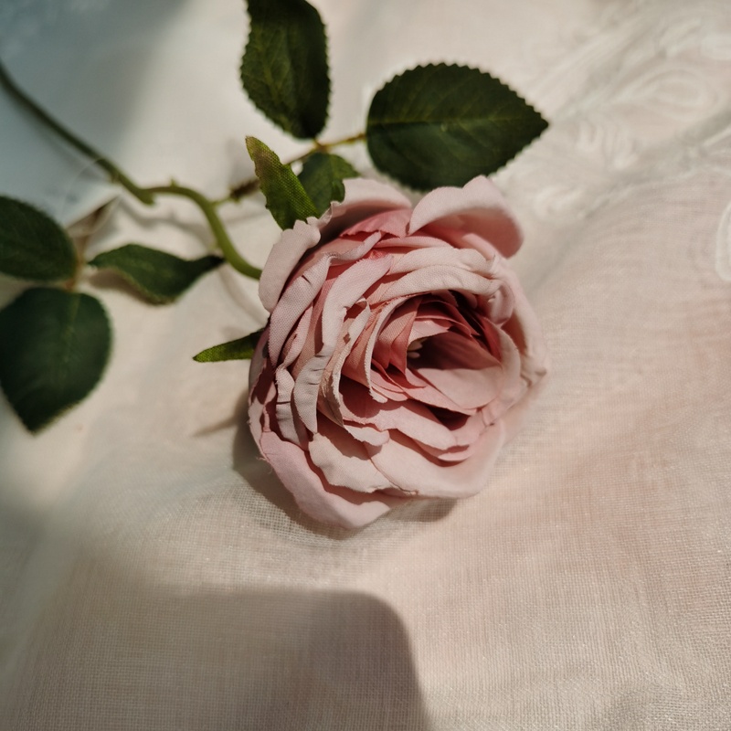 H40a16c6295254af3bfb13c18f283156au