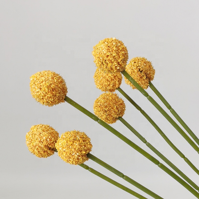 H484a63c0876a4a2a8235832c92fc7b6eV