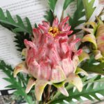 H4cd0a0a3126844158f724f076d2ad44a8-3