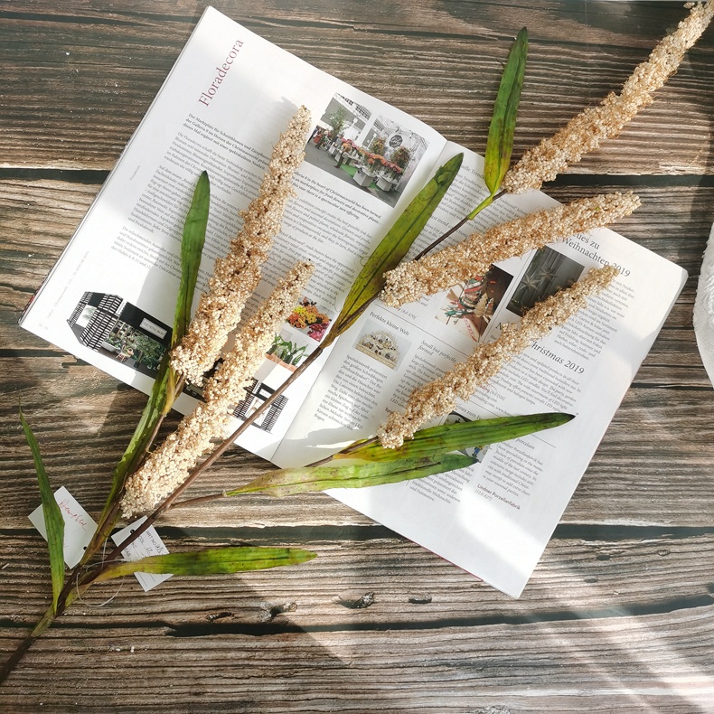 H4e9c88f343b6448ea6425fd4de99c1f5q-1