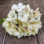 H51bc65bc11a540ca8fbbcf038153eb9ae