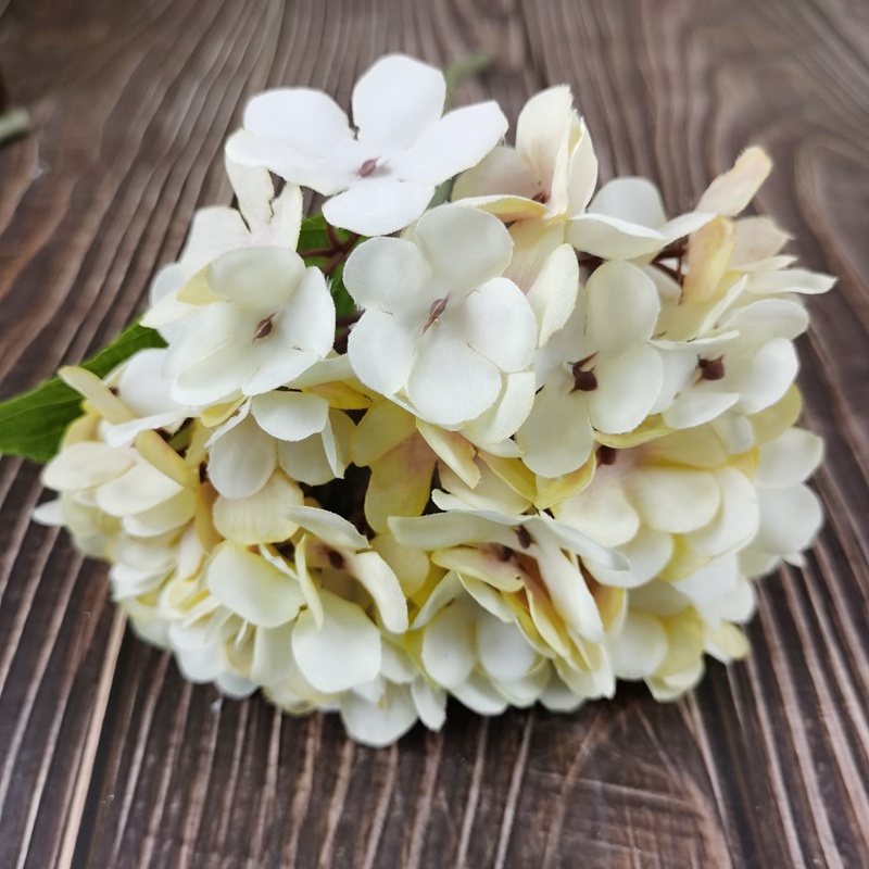 H51bc65bc11a540ca8fbbcf038153eb9ae