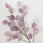 H5266fc07e0df484891d87f72a41cd5dfw