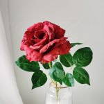 H52f0aaf47aa44a1a95d4bfa921ddf8478