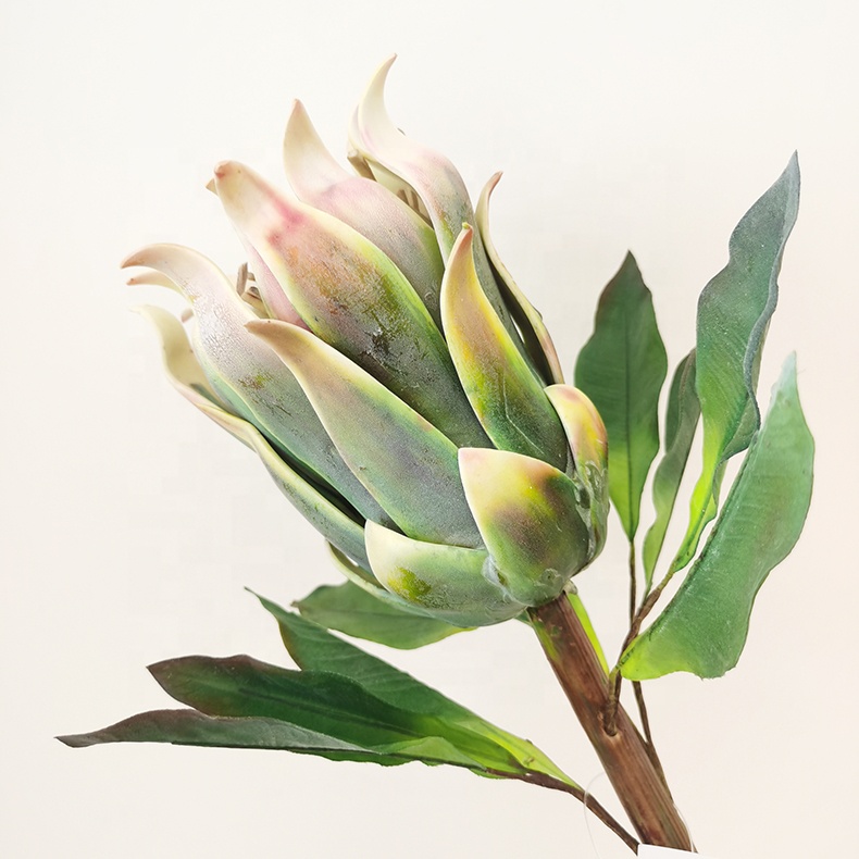 H5bf866be7d3e4d359470d5ad592ae827y