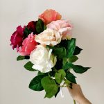 H5f7abefacbf34cc5ae92dd42f91f4b166