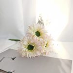 H62c50cf8a6d34afbb513a255a5ddc801u