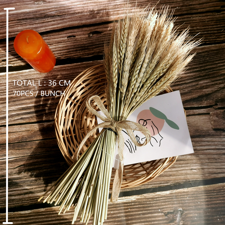 Artificial flower 70 Pcs Dry Wheat Grass Bouquet Natural Wheat Dried Grasses Bundle Dried Wheat Length 36cm