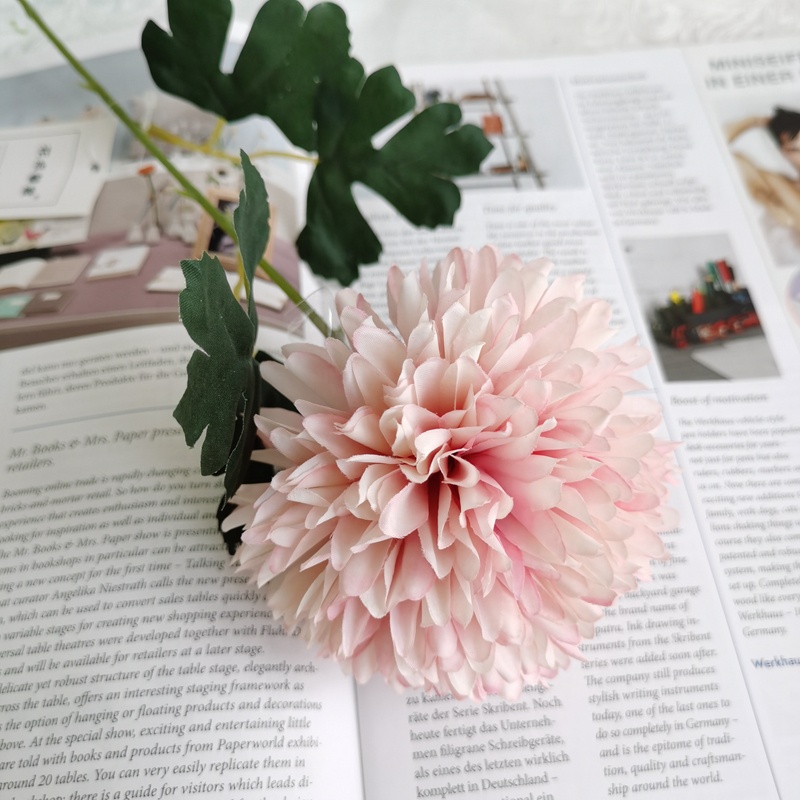 H66f3dec63456492d82fbc8cd45d9e4e4c