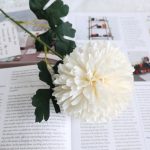 H6798179ea8e54155b290a95cffa61c0cr