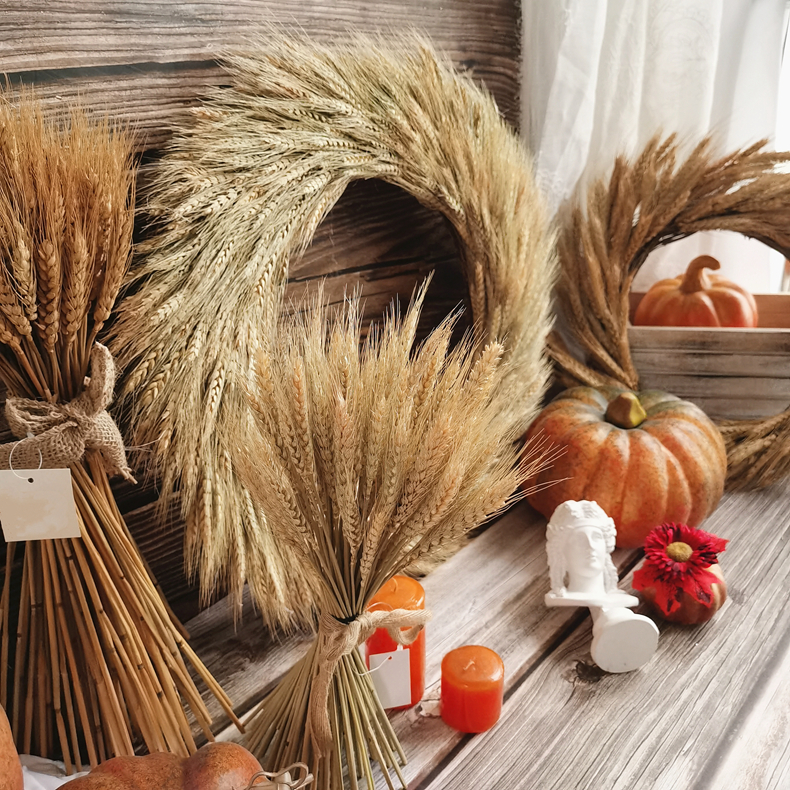 H6afe036f298c45609b544ded449547dcV