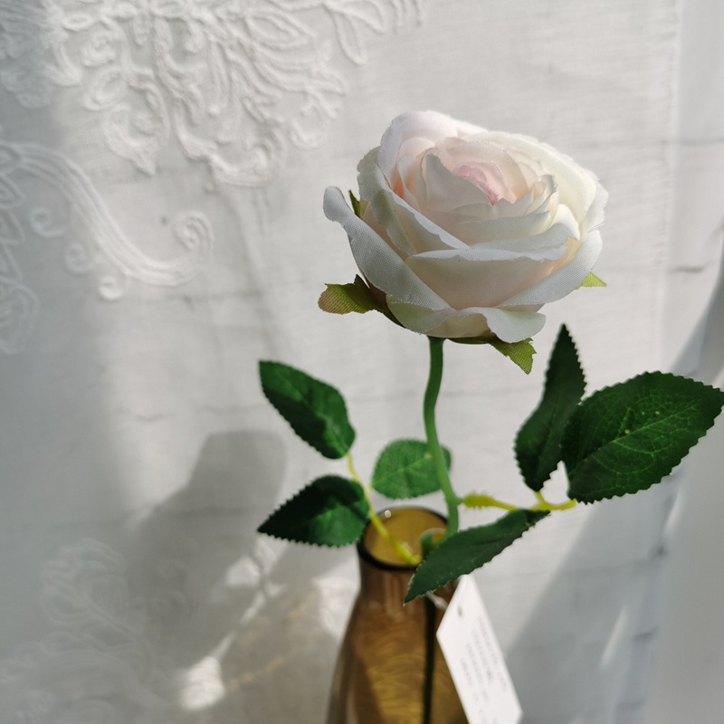 H6c7f4c176f214e09bcde25ed147ae2c4V-1