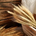 H6e44b61112d94f9bba0089cf407a4f4fe