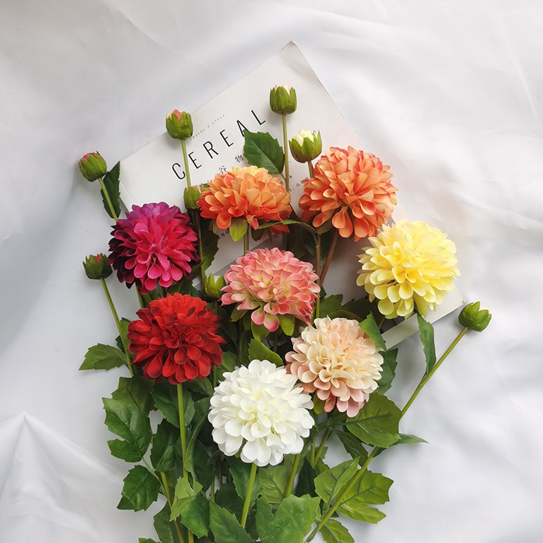 H6f401a2a953a40598485e8a9d8f712aeN